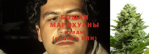 гидра Верея