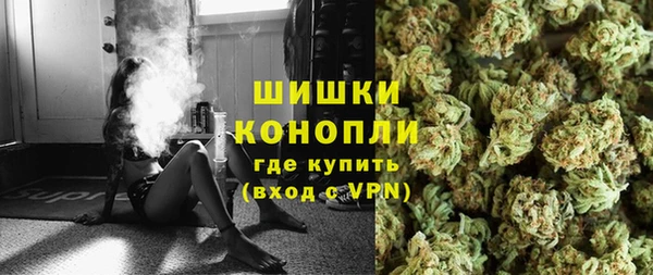 гидра Верея